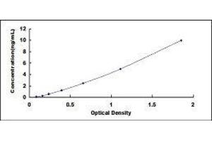 ELISA image for General Transcription Factor IIF, Polypeptide 1, 74kDa (GTF2F1) ELISA Kit (ABIN425016)