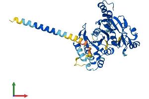 AlphaFold protein structure predicition of Mouse Recombinant B4gat1 Protein, UniprotID Q8BWP8