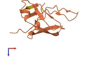 AlphaFold protein structure predicition of Mouse Recombinant Kcnip3 Protein, UniprotID P0C092