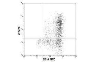 Flow Cytometry (FACS) image for anti-Chemokine (C-C Motif) Ligand 2 (CCL2) antibody (PE) (ABIN2663844) (CCL2 anticorps  (PE))