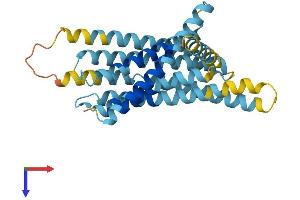 AlphaFold protein structure predicition of Human Recombinant TAS2R5 Protein, UniprotID Q9NYW4