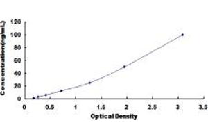 Lactate Dehydrogenase C (LDHC) ELISA Kit