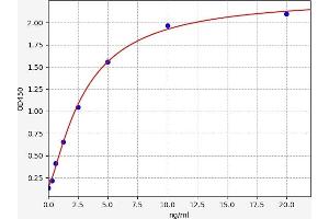 Typical standard curve (HIST2H2BE Kit ELISA)