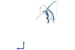 AlphaFold protein structure predicition of Mouse Recombinant Tax1bp1 Protein, UniprotID Q3UKC1