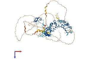 AlphaFold protein structure predicition of Human Recombinant FBXL19 Protein, UniprotID Q6PCT2