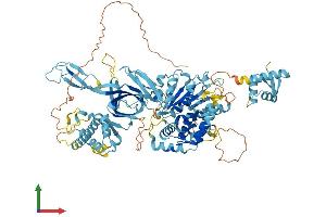 AlphaFold protein structure predicition of Mouse Recombinant Mcm8 Protein, UniprotID Q9CWV1