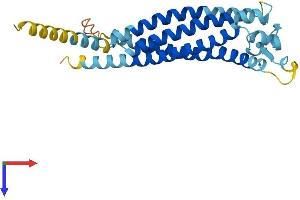 AlphaFold protein structure predicition of Human Recombinant GPM6B Protein, UniprotID Q13491