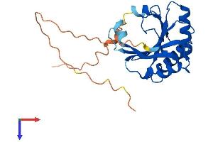 AlphaFold protein structure predicition of Mouse Recombinant Eif4e2 Protein, UniprotID Q8BMB3