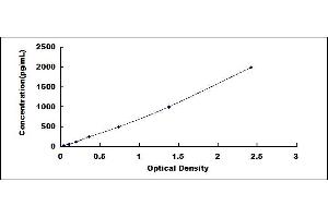 Typical standard curve (CMA1 Kit ELISA)