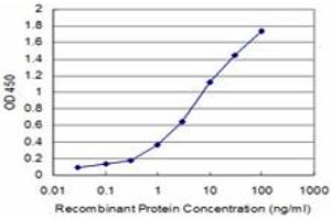 Detection limit for recombinant GST tagged LHX4 is approximately 0. (LHX4 anticorps  (AA 208-306))