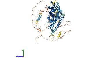 AlphaFold protein structure predicition of Human Recombinant EVC Protein, UniprotID P57679