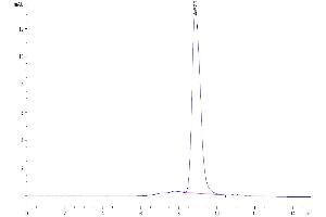The purity of Mouse CD300A is greater than 95 % as determined by SEC-HPLC.