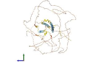 AlphaFold protein structure predicition of Mouse Recombinant Trdn Protein, UniprotID E9Q9K5