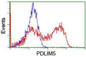 Flow Cytometry (FACS) image for anti-PDZ and LIM Domain 5 (PDLIM5) antibody (ABIN1500132) (PDLIM5 anticorps)