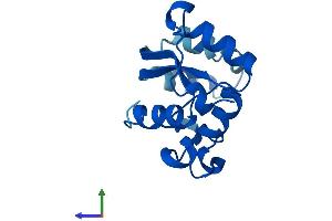 AlphaFold protein structure predicition of Human Recombinant NME2P1 Protein, UniprotID O60361