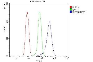 Flow Cytometry analysis of HEPA 1-6 cells using anti-S100A8 antibody (ABIN3042481). (S100A8 anticorps  (AA 2-89))
