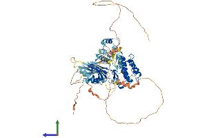 AlphaFold protein structure predicition of Mouse Recombinant Brsk2 Protein, UniprotID Q69Z98