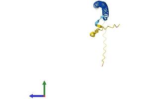 AlphaFold protein structure predicition of Mouse Recombinant Batf Protein, UniprotID O35284