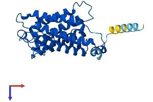 AlphaFold protein structure predicition of Mouse Recombinant Aqp5 Protein, UniprotID Q9WTY4