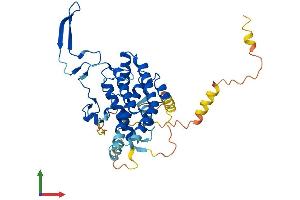 AlphaFold protein structure predicition of Human Recombinant OSCP1 Protein, UniprotID Q8WVF1