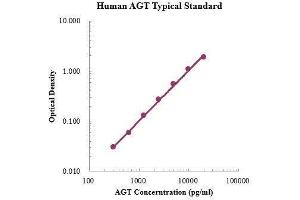 Angiotensinogen (serpin Peptidase Inhibitor, Clade A, Member 8) (AGT) ELISA Kit