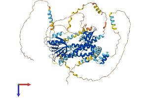 AlphaFold protein structure predicition of Human Recombinant EPS8 Protein, UniprotID Q12929