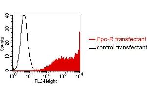 BOSC23 cells were transiently transfected with an expression vector encoding either Epo-R (red curve) or an irrelevant protein (control transfectant).