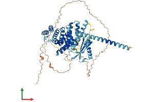 AlphaFold protein structure predicition of Mouse Recombinant Spata16 Protein, UniprotID Q8C636