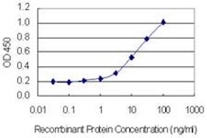 Detection limit for recombinant GST tagged FIGLA is 0. (FIGLA anticorps  (AA 110-219))