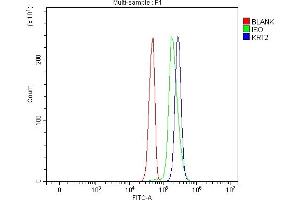 Flow Cytometry analysis of Jurkat cells using anti-Cytokeratin 2e/KRT2 antibody (ABIN7600644).