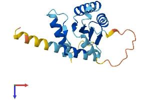 AlphaFold protein structure predicition of Mouse Recombinant Gadd45a Protein, UniprotID P48316