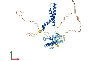 AlphaFold protein structure predicition of Human Recombinant DNTTIP1 Protein, UniprotID Q9H147