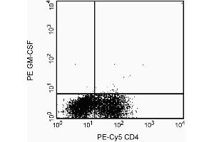Preincubation of the fixed/permeabilized cells with unlabeled BVD2-21C11 antibody