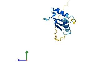 AlphaFold protein structure predicition of Mouse Recombinant Bola3 Protein, UniprotID Q8CEI1