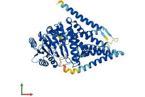 AlphaFold protein structure predicition of Mouse Recombinant Has2 Protein, UniprotID P70312