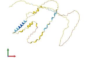 AlphaFold protein structure predicition of Human Recombinant DBNDD2 Protein, UniprotID Q9BQY9
