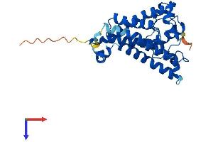 AlphaFold protein structure predicition of Human Recombinant CH25H Protein, UniprotID O95992