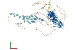 AlphaFold protein structure predicition of Human Recombinant SEC31A Protein, UniprotID O94979