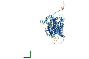 AlphaFold protein structure predicition of Human Recombinant SLC26A6 Protein, UniprotID Q9BXS9
