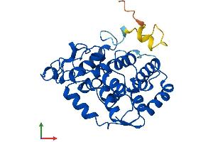 AlphaFold protein structure predicition of Human Recombinant MIOX Protein, UniprotID Q9UGB7