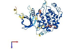 AlphaFold protein structure predicition of Mouse Recombinant Cdk9 Protein, UniprotID Q99J95