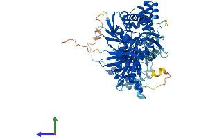 AlphaFold protein structure predicition of Mouse Recombinant Gucy1b1 Protein, UniprotID O54865
