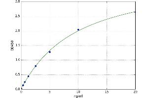 Major Histocompatibility Complex, Class I, A (HLA-A) ELISA Kit
