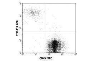 Flow Cytometry (FACS) image for anti-Erythroid Cells antibody (APC) (ABIN2667351) (Erythroid Cells anticorps  (APC))