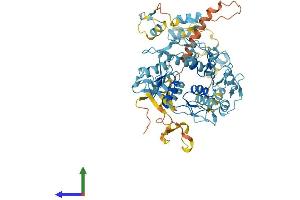AlphaFold protein structure predicition of Human Recombinant PRDM5 Protein, UniprotID Q9NQX1