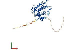 AlphaFold protein structure predicition of Human Recombinant MOB2 Protein, UniprotID Q70IA6