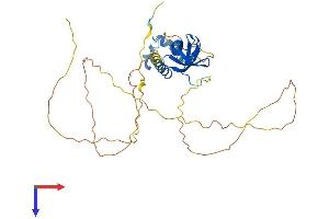 AlphaFold protein structure predicition of Human Recombinant SAMSN1 Protein, UniprotID Q9NSI8