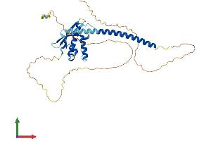 AlphaFold protein structure predicition of Human Recombinant SNX16 Protein, UniprotID P57768