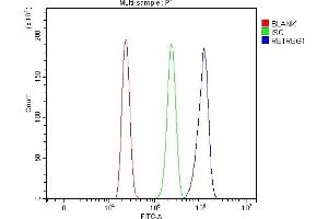 Flow Cytometry analysis of HL-60 cells using anti-RETREG1 antibody (ABIN7599962). (FAM134B anticorps  (AA 131-446))