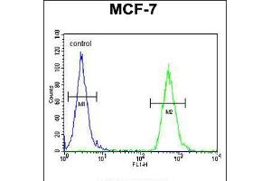 Flow cytometric analysis of MCF-7 cells (right histogram) compared to a negative control cell (left histogram). (TTPAL anticorps  (C-Term))